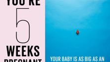 Your pregnancy: 5 weeks