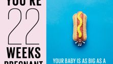 Your pregnancy: 22 weeks